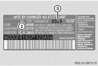 Example: vehicle identification plate (USA only)