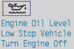 Vehicles without an oil dipstick: the engine oil level is too low.