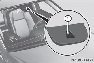 1 Lane Keeping Assist camera